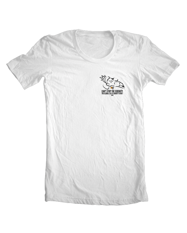 CSTS2014_TShirt_Mockup3.png